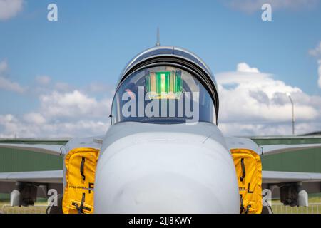 SIAULIAI / LITAUEN - 27. Juli 2019: Statische Anzeige des Kampfflugzeugs Saab JAS 39 Gripen auf der Flugschau Falcon Wings 2019 auf dem Luftwaffenstützpunkt Siauliai Stockfoto