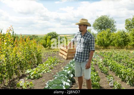 Landwirt Mann in einem Hut stehen stolz vor der Gartenlandschaft mit Holzkiste - Landwirtschaft. Landwirt Vorbereitung auf die Ernte Stockfoto