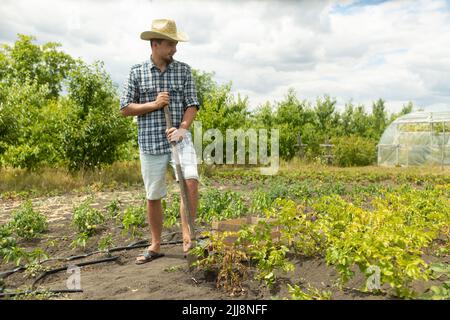 Ein Bauer im Hut gräbt mit einer Schaufel eine Kartoffel auf den Garten Stockfoto