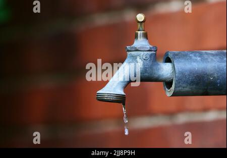 Berlin, Deutschland. 23.. Juli 2022. 23.09.2022, Berlin. Ein Tropfen Wasser tropft aus einem alten Wasserhahn draußen. Quelle: Wolfram Steinberg/dpa Quelle: Wolfram Steinberg/dpa/Alamy Live News Stockfoto