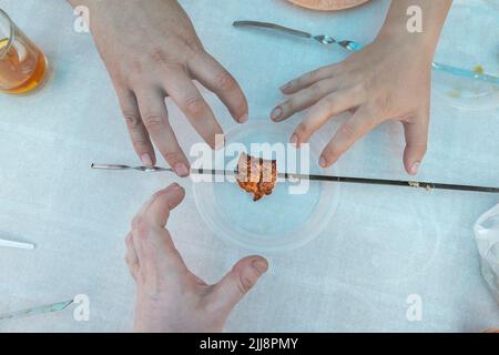 Das letzte saftige Stück Fleisch auf einem Spieß, zu dem die Hände der Menschen greifen Stockfoto