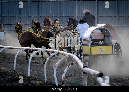 Chuckwagon-Rennen beim Neyaskweyahk Native Classic in Maskwacis (Hobbema), Alberta, Kanada Stockfoto
