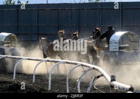 Chuckwagon-Rennen beim Neyaskweyahk Native Classic in Maskwacis (Hobbema), Alberta, Kanada Stockfoto