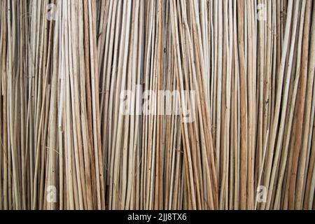 Reihen und Reihen von braunen Jute Sticks Texturhintergrund eines Feldes Stockfoto