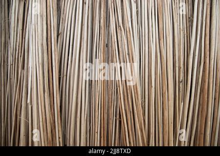 Reihen und Reihen von braunen Jute Sticks Texturhintergrund eines Feldes Stockfoto