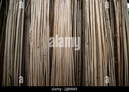 Reihen und Reihen von braunen Jute Sticks Texturhintergrund eines Feldes Stockfoto