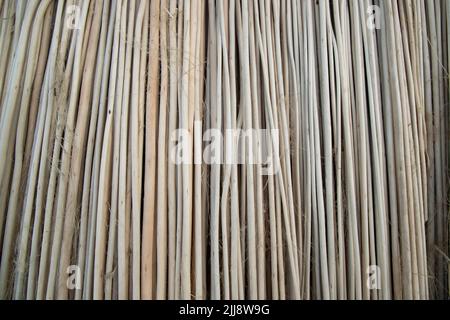 Reihen und Reihen von braunen Jute Sticks Texturhintergrund eines Feldes Stockfoto