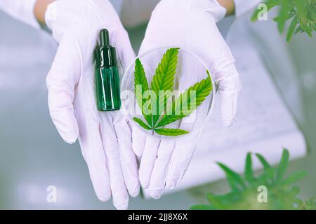 Hanföl Cannabisextrakt medizinisches CBD-Produkt oder THC-Öl zur Schmerzlinderung durch Marihuana-Blattpflanze. Stockfoto