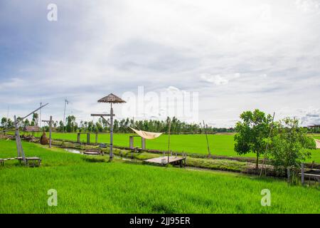 Ayutthaya Thailand 6. Jun 2022: Der Weg und die Aussicht von Rak Na Ayutthaya im Reisfeld. Ein sehr schöner, aber entspannter Ort. Stockfoto