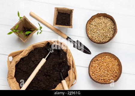 Boden, Rechen und Schaufel in Papierbehälter. Samen in Töpfen. Schaufel zum Anpflanzen von Setzlingen. Sämlinge im Torftopf. Spring Gardening Konzept. Flach liegend. Whi Stockfoto