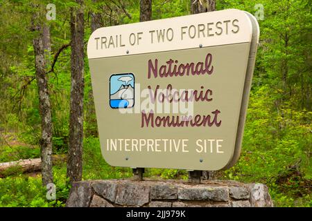 Trail of Two Forests Eingangsschild, Mt St. Helens National Volcanic Monument, Washington Stockfoto