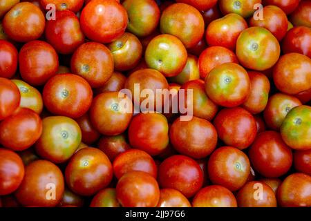 Frisch gepflückte Kirschtomaten in einem Korb Stockfoto