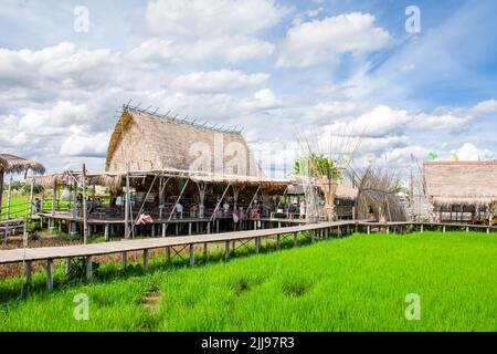 Ayutthaya Thailand 6. Jun 2022: Der Weg und die Aussicht von Rak Na Ayutthaya im Reisfeld. Ein sehr schöner, aber entspannter Ort. Stockfoto