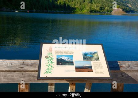 Informationboard am Coldwater Lake, Mt St. Helens National Volcanic Monument, Washington Stockfoto