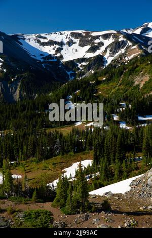 Goat Island Mountain vom Sourdough Ridge Trail, Mt Rainier National Park, Washington Stockfoto