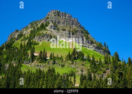 Yakima Peak vom Tipsoo Lake, Mt Rainier National Park, Washington Stockfoto