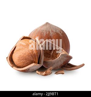 Haselnüsse isoliert auf weißem Hintergrund. Tiefenfokus Stockfoto