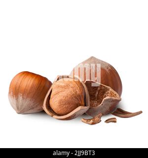 Haselnüsse isoliert auf weißem Hintergrund. Tiefenfokus Stockfoto