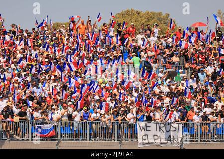 Provence Alpes Cote d Azur, Frankreich: 24.. Juli 2022; Circuit Paul Ricard, Le Castellet, Marseille, Frankreich: F1 großer Preis von Frankreich, Renntag: Fans mit französischer Flagge Stockfoto