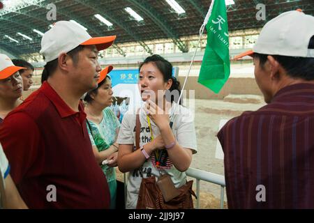 Reiseleiter mit knallfarbener Flagge führt eine Gruppe chinesischer Touristen an, die die Grube 1 der Terrakotta-Armee im Mausoleum-Museum von Kaiser Qinshihuang in Xi'an, China, besuchen/besichtigen. VRC. (125) Stockfoto