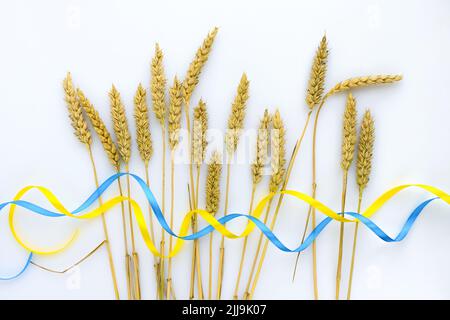 Weizenspikelets und Bänder in den Farben der ukrainischen Flagge auf hellem Hintergrund. Konzept der globalen Nahrungsmittelknappheit wegen des Krieges in der Ukraine Stockfoto