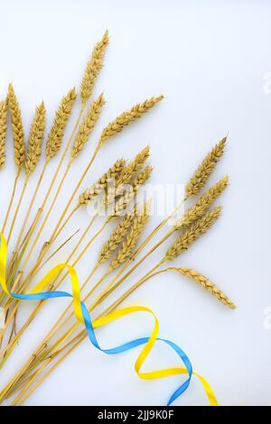 Weizenspikelets und Bänder in den Farben der ukrainischen Flagge auf hellem Hintergrund. Konzept der globalen Nahrungsmittelknappheit wegen des Krieges in der Ukraine Stockfoto