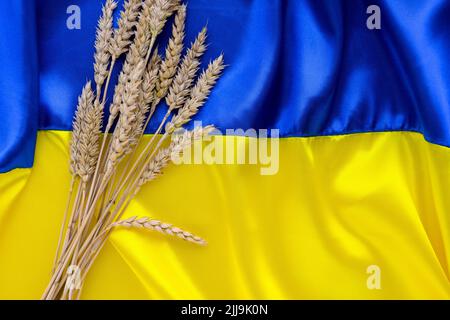 Stoff-Wellenfahne der Ukraine mit Weizenspitzen. Blaue und gelbe helle Farben. Nahaufnahme gekrümmter Texturhintergrund Stockfoto