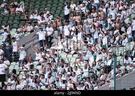 Sao Paulo, Brasilien. 24.. Juli 2022. SP - Sao Paulo - 07/24/2022 - BRASILIANISCHER A 2022, PALMEIRAS X INTERNACIONAL - Palmeiras Fans während eines Spiels gegen Internacional im Arena Allianz Parque Stadion für die brasilianische Meisterschaft A 2022. Foto: Ettore Chiereguini/AGIF/Sipa USA Quelle: SIPA USA/Alamy Live News Stockfoto