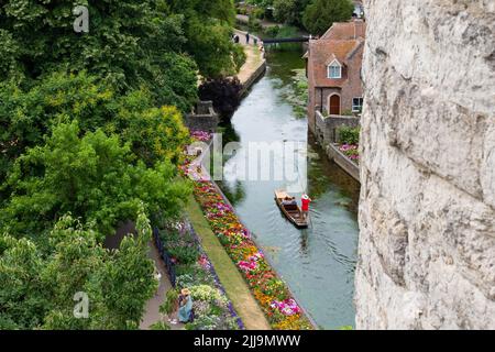 Canterbury puntet im Sommer - punt auf Great Stour, vorbei an Westgate Gardens - Blick von den Westgate Towers, Canterbury, England, Großbritannien Stockfoto