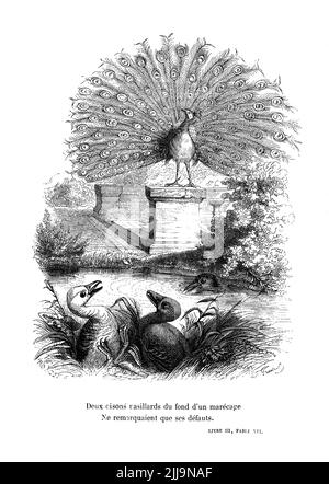 1845, FRANKREICH : der französische Schriftsteller, Dichter und Dramatiker JEAN-PIERRE CLARIS DE FLORIAN ( 1755 - 1794 ) . Gefeierter Fabulist . Gravierte Illustration für einen seiner Romane , von Jean-Jacques Grandville, XIX Jahrhundert, pubblisgeh in FABLES DE FLORIAN , Garniers Frères , Paris , 1845 . - DEFLORIAN - TEATRO - THEATER - DRAMATURGO - FAVOLISTA - FAVOLE - FAVOLA - FABULISIT - COMMEDIOGRAFO - PLAYWRITER - JEAN PIERRE - ROMANZIERE - SCRITTORE - LETTERATURA - LITERATUR - LETTERATO - POESIA - POETA - DICHTER - POESIE - '700 - 700 'S - SETTECENTO - INCISIONE - illustration - Illustration - PAVONE - PFAU -- Stockfoto