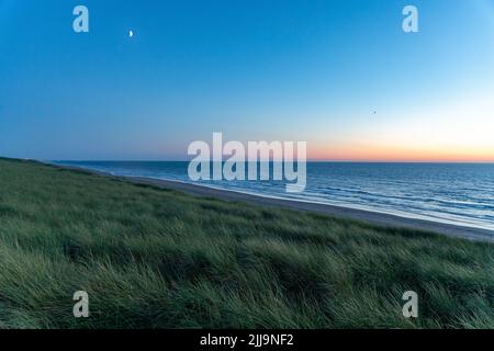 Marrammgras in den Küstensanddünen beim Sonnenuntergang am Strand der südholländischen Strandstadt Noordwijk in den Niederlanden. Northsea. Stockfoto