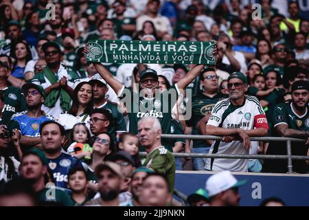 Sao Paulo, Brasilien. 24.. Juli 2022. SP - Sao Paulo - 07/24/2022 - BRASILIANISCHER A 2022, PALMEIRAS X INTERNACIONAL - Palmeiras Fans während eines Spiels gegen Internacional im Arena Allianz Parque Stadion für die brasilianische Meisterschaft A 2022. Foto: Ettore Chiereguini/AGIF/Sipa USA Quelle: SIPA USA/Alamy Live News Stockfoto