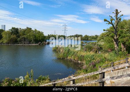 Stausee auf den Walthamstow Wetlands im Sommer, Nord-London, Südostengland Stockfoto