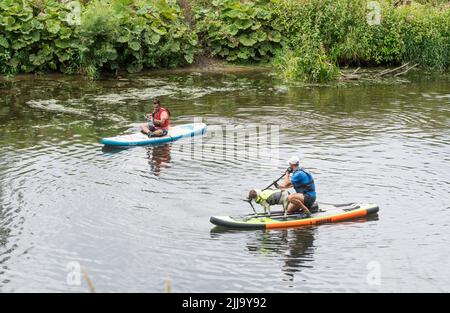 Ein Mann paddelt mit einem Hund auf dem River Wear in Durham City, England, Großbritannien Stockfoto
