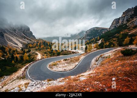 Kurvenreiche Bergstraße, die zu drei Gipfeln des Lavaredo im Nationalpark Tre Cime di Lavaredo in den Dolomiten führt. Orangengras und üppige Lärchen Wald um. Herbst in den Dolomiten, Italien Stockfoto