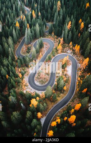 Top Luftaufnahme der berühmten Snake Road in der Nähe von Passo Giau in den Dolomiten. Verwinkelte Bergstraße in üppigem Wald mit Orangenlärchen und grüner Fichte im Herbst. Dolomiten, Italien Stockfoto