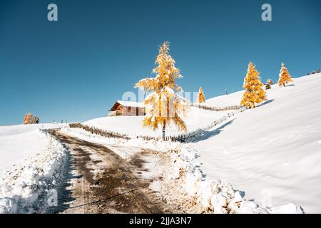 Malerische Landschaft mit kleiner Holzhütte auf der Seiser Alm bei Sonnenaufgang. Seiser Alm, Dolomiten, Italien. Schneebedeckter Hügel mit Straße und orangefarbenen Lärchen Stockfoto