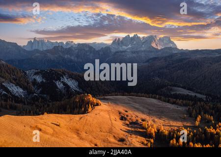 Unglaublicher Herbstblick im Valfreda-Tal in den italienischen Dolomiten. Gelbes Gras, orange Lärchen Wald und schneebedeckte Berge Gipfel auf dem Hintergrund. Dolomiten, Italien. Landschaftsfotografie Stockfoto