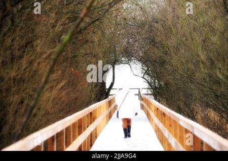 Winterlandschaft in Steinhude am Meer.Schneelandschaft in Steinhude am Meer, Deutschland Stockfoto