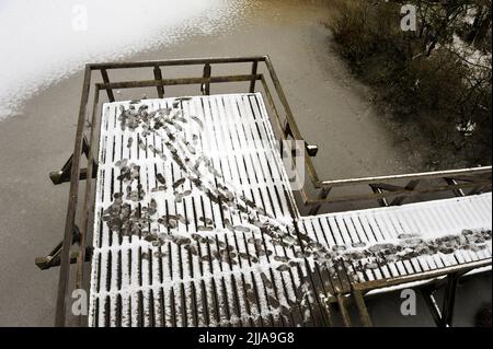 Winterlandschaft in Steinhude am Meer.Schneelandschaft in Steinhude am Meer, Deutschland.Eine frostige Promenade über den Steinhuder See. Stockfoto