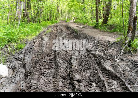 Unbefahrbare Forststraße, schlammig nach Regen, mit Spuren von LKW-Reifen Stockfoto