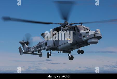 Ein Marinehubschrauber Wildcat HMA2, der von 815 Naval Air Squadron betrieben wird und Teil des Flottenluftarms der Royal Navy ist Stockfoto