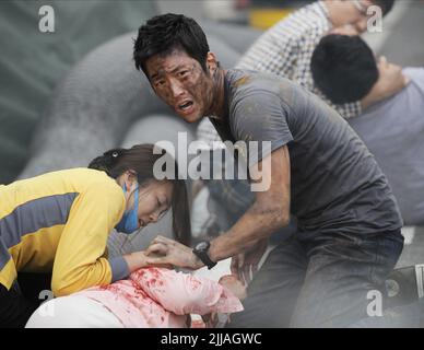 AE, PARK, JANG, GRIPPE, 2013 Stockfoto