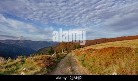 Herbstlandschaft mit Blick auf die herbstbunten Bäume in den Vogesen, Stockfoto
