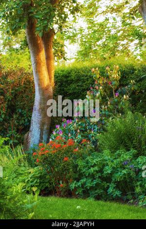 Schöner grüner Garten mit Blumen, Bäumen und Pflanzen draußen im Garten im Sommer. Landschaft von lebendigen üppigen Wiese Umgebung in vollem Umfang Stockfoto