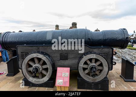 Mons Meg Kanone im Edinburgh Castle o Display für die breite Öffentlichkeit, Schottland, Großbritannien, Sommer 2022 Stockfoto