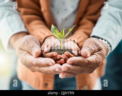 Wir wachsen zusammen. Vater und Tochter halten draußen eine Pflanze. Stockfoto