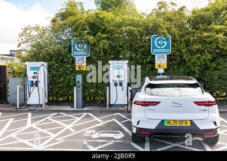 Der elektrische Jaguar i-Pace in Weiß wird an einer Autobahndienststelle in England über das Gridserve-Ladestationsnetz aufgeladen. England, Großbritannien Stockfoto