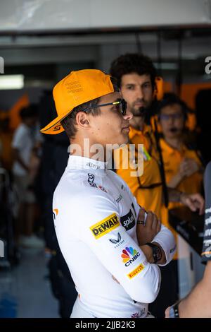 Le Castellet, Frankreich - 24/07/2022, Le Castellet, Frankreich - 24/07/2022, NORRIS Lando (gbr), McLaren F1 Team MCL36, Portrait während des Formel 1 Lenovo Grand Prix de France, Grand Prix von Frankreich 2022, 12. Lauf der FIA Formel 1 Weltmeisterschaft 2022 vom 22. Bis 24. Juli 2022 auf dem Circuit Paul Ricard, in Le Castellet, Frankreich - Foto: Germain Hazard / Dppi/DPPI/LiveMedia Stockfoto