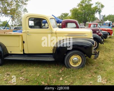 Alte creme und schwarz Utility Ford Pickup LKW 1942 - 1947 auf dem Land. Seitenansicht. Naturgrasbäume. Oldtimer-Show. Copyspace Stockfoto